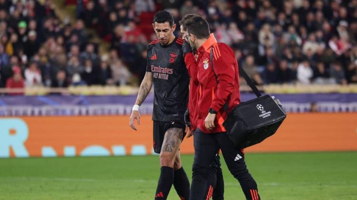 包含葡超今夜走向成谜，本菲卡远射贴柱，态度坚定，球探报告显示潜力的词条